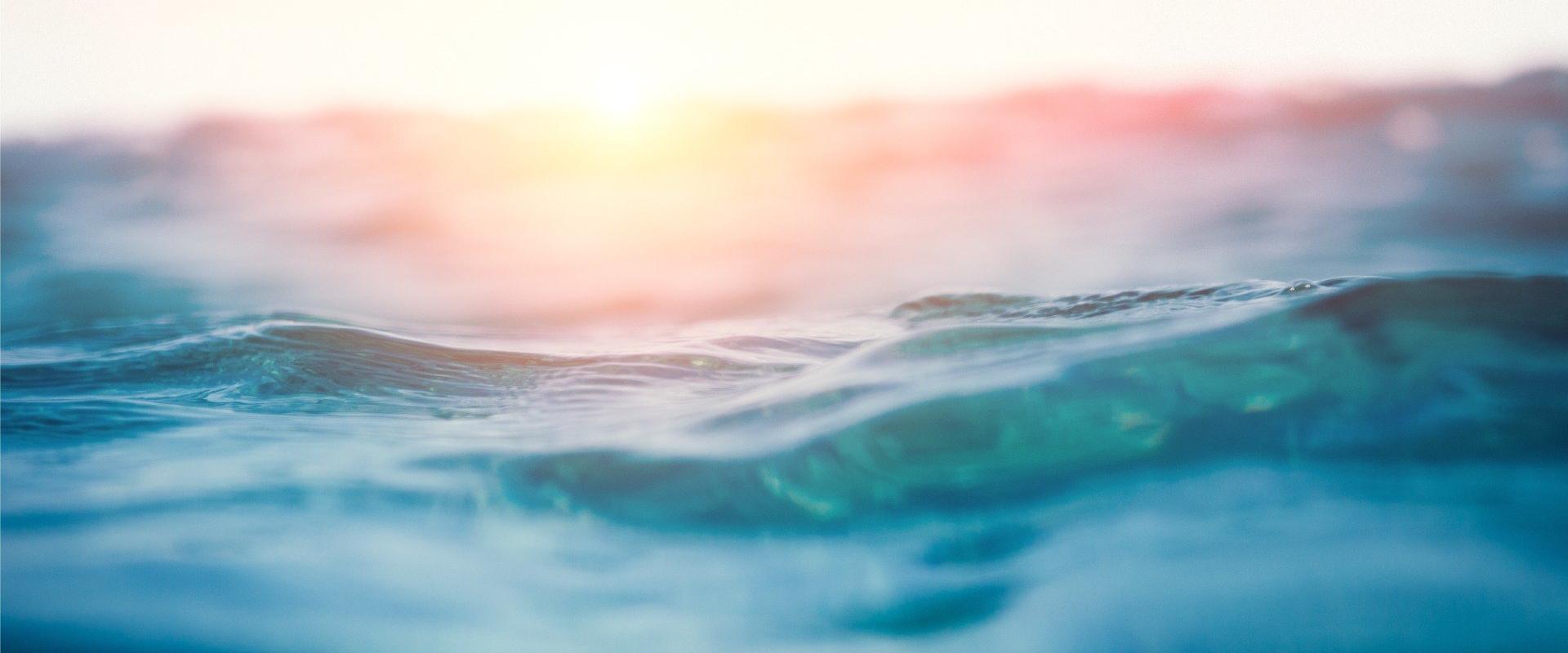 The beauty of nature surrounds us at every moment MYND Hotels The beauty of nature surrounds us at every moment MYND Hotels