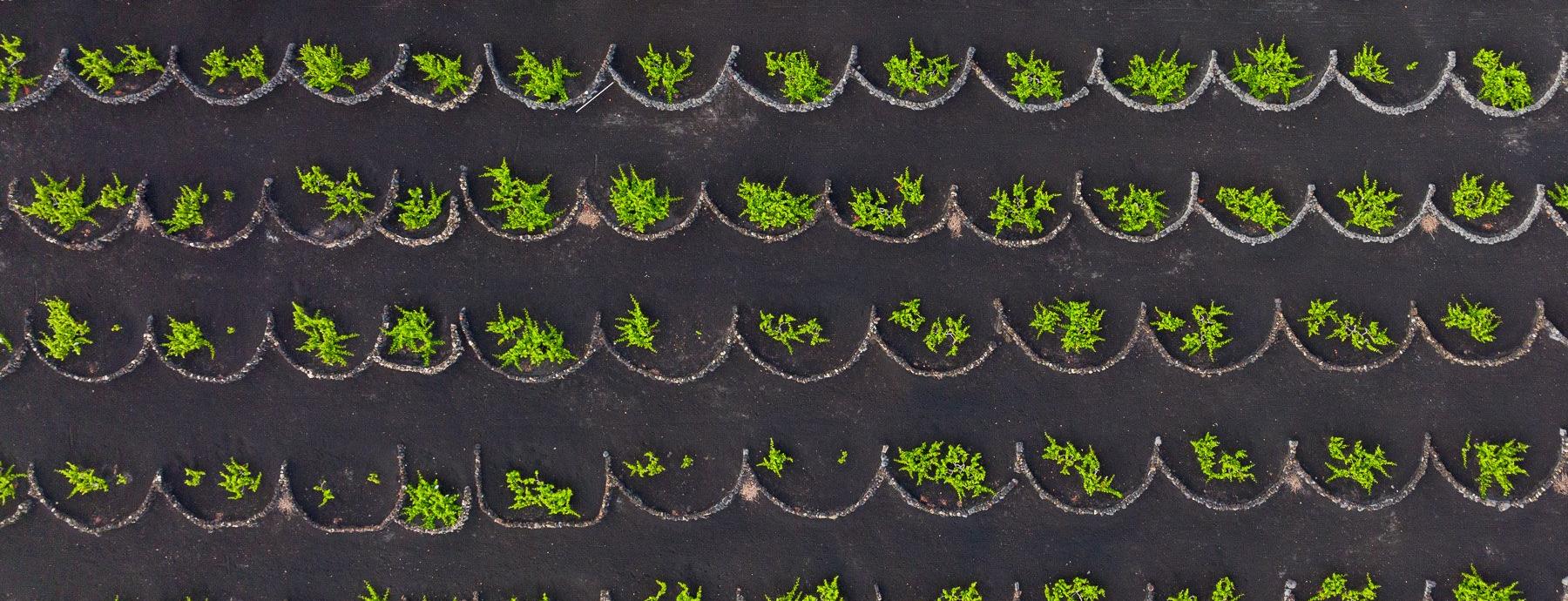 Hotel MYND Yaiza Lanzarote Hotel MYND Yaiza Lanzarote