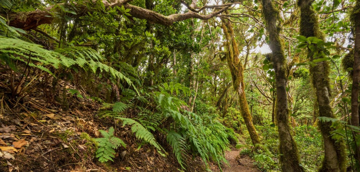Hotel MYND Yaiza Lanzarote Hotel MYND Yaiza Lanzarote