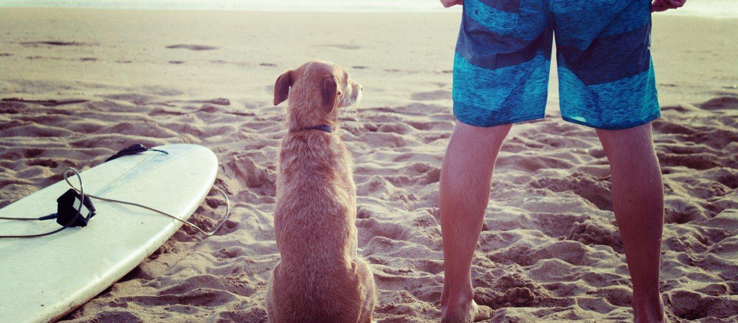 Hotel MYND Yaiza Lanzarote Hotel MYND Yaiza Lanzarote